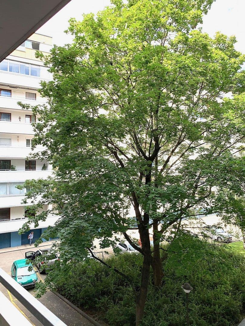 Studio flat to rent, 40 m², Universumstrasse, Wien, 20. Bezirk, Brigittenau, Vienna Studio flat to rent, 40 m², Universumstrasse, Wien, 20. Bezirk, Brigittenau, Vienna