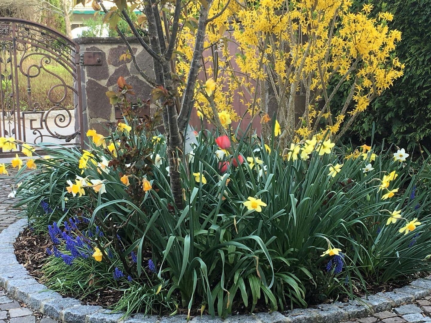 house for sale, 278 m², Neusäß, Bavaria house for sale, 278 m², Neusäß, Bavaria