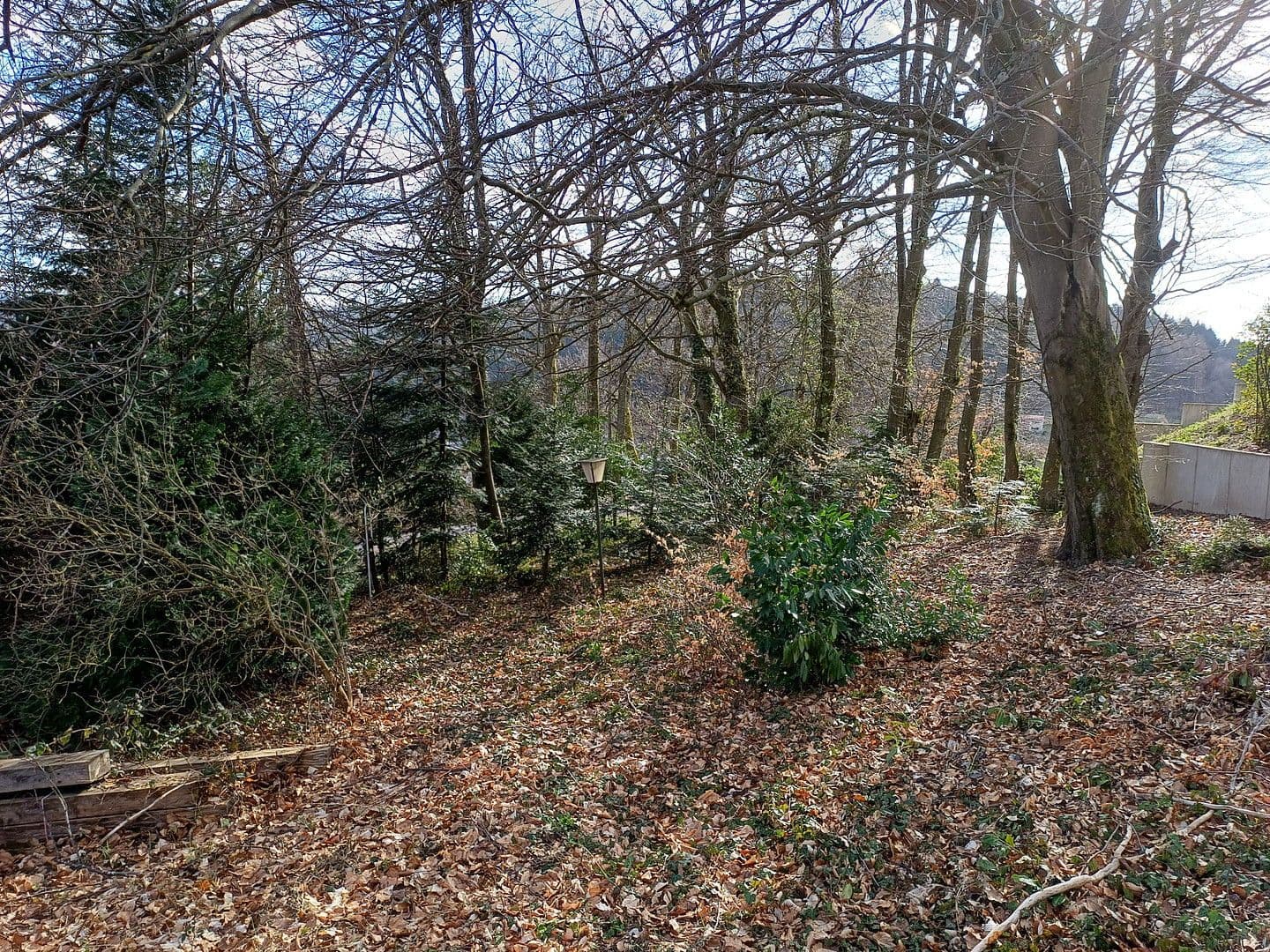 plot for sale, 2,000 m², Rainweg 15, Wilhelmsfeld, Baden-Württemberg plot for sale, 2,000 m², Rainweg 15, Wilhelmsfeld, Baden-Württemberg