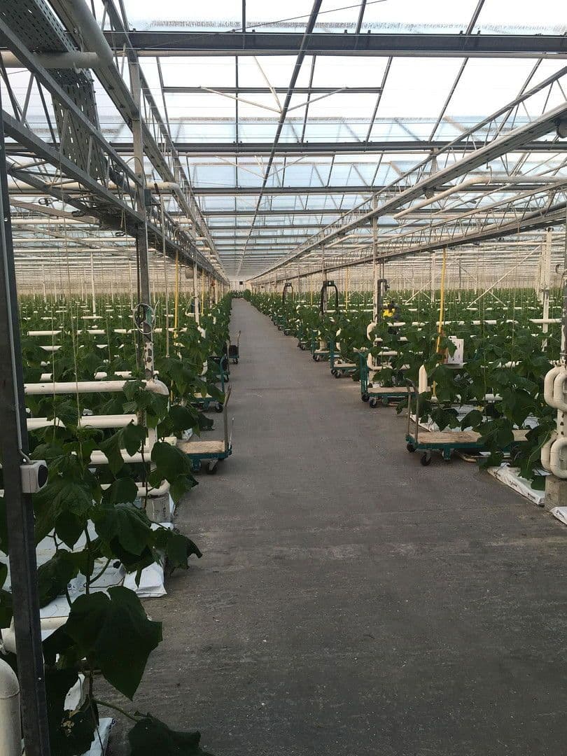 plot for sale, 14,889 m², Remsharter Str. 50, Burgau, Bavaria plot for sale, 14,889 m², Remsharter Str. 50, Burgau, Bavaria