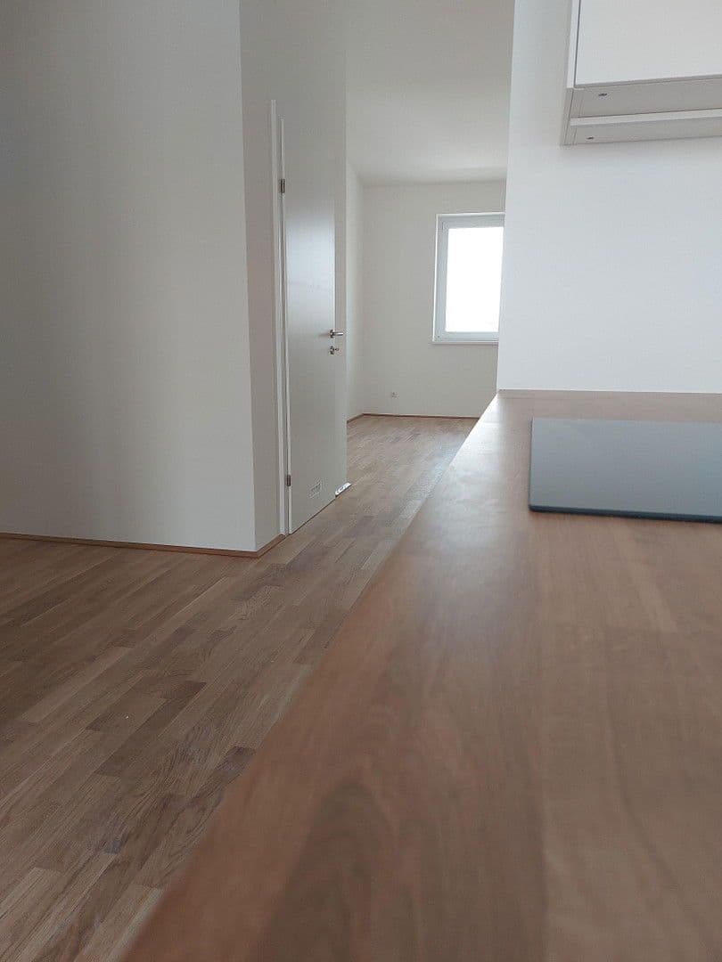 1 bedroom with open-plan kitchen flat to rent, 66 m², Wienerstr. 29, Linz, Upper Austria 1 bedroom with open-plan kitchen flat to rent, 66 m², Wienerstr. 29, Linz, Upper Austria