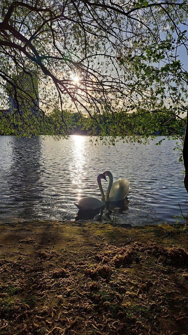 3 bedroom flat to rent, 200 m², Berlin, Berlin 3 bedroom flat to rent, 200 m², Berlin, Berlin