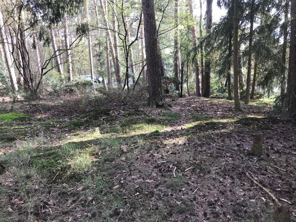 plot for sale, 1,000 m², Lindwedel, Lower Saxony plot for sale, 1,000 m², Lindwedel, Lower Saxony