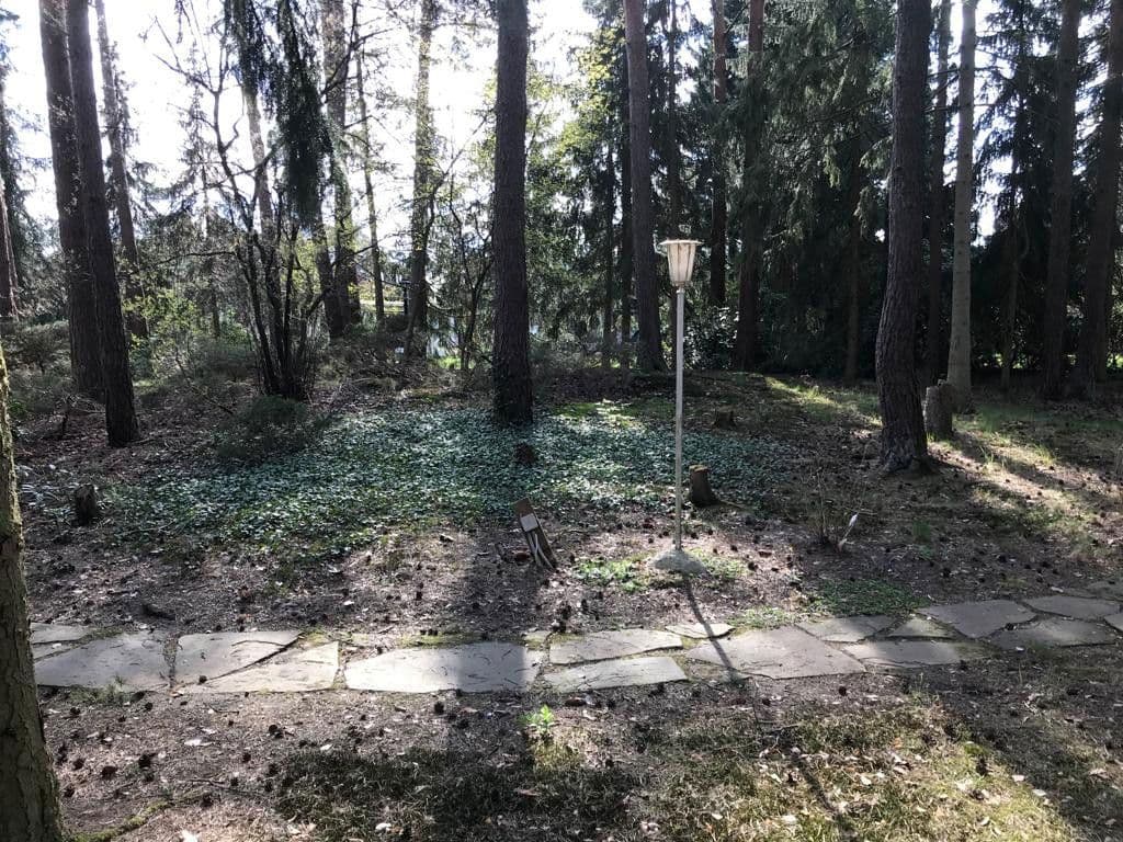 plot for sale, 1,000 m², Lindwedel, Lower Saxony plot for sale, 1,000 m², Lindwedel, Lower Saxony