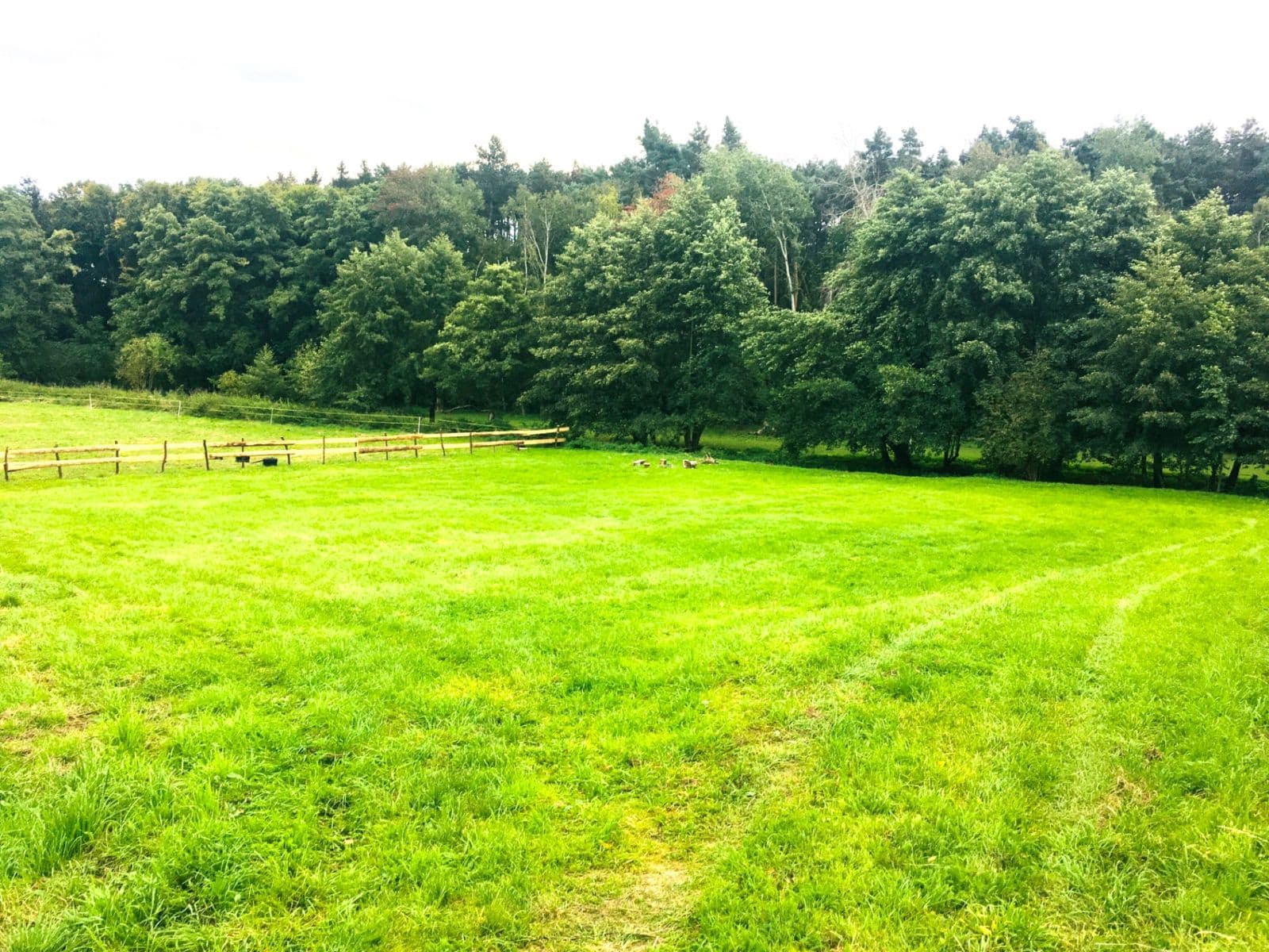 plot for sale, 36,000 m², Podolanka, Středočeský Region plot for sale, 36,000 m², Podolanka, Středočeský Region