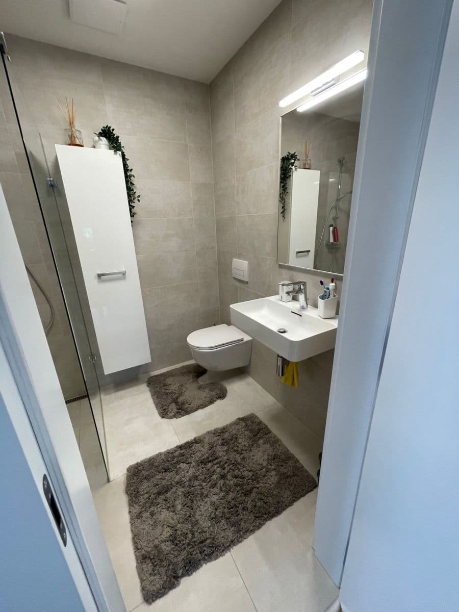 1 bedroom with open-plan kitchen flat for sale, 53 m², Studentská, Brno, Jihomoravský Region 1 bedroom with open-plan kitchen flat for sale, 53 m², Studentská, Brno, Jihomoravský Region