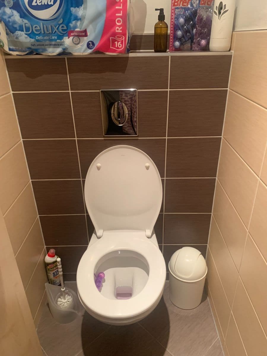 1 bedroom with open-plan kitchen flat to rent, 52 m², U Leskavy, Brno, Jihomoravský Region 1 bedroom with open-plan kitchen flat to rent, 52 m², U Leskavy, Brno, Jihomoravský Region