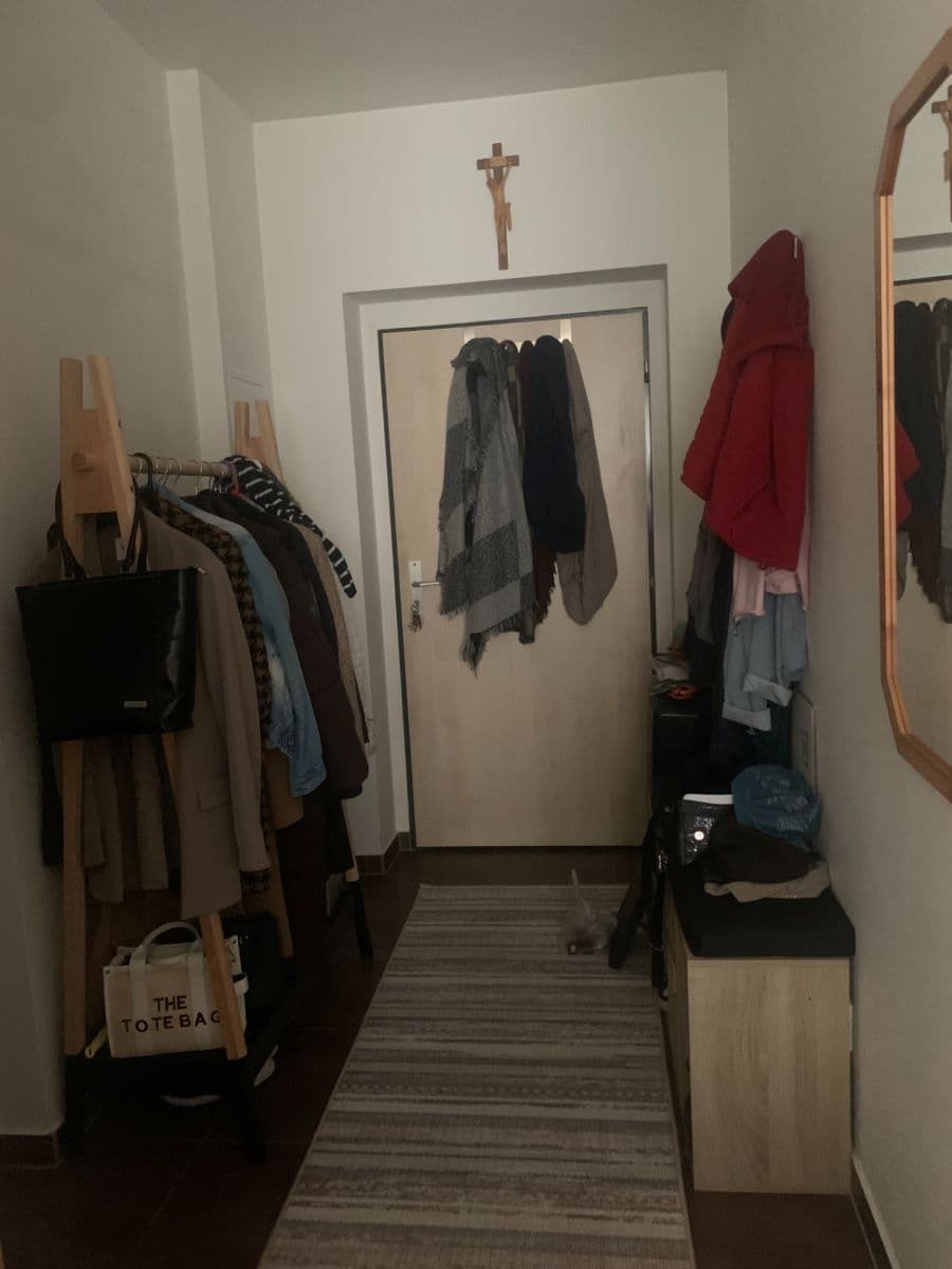 1 bedroom with open-plan kitchen flat to rent, 52 m², U Leskavy, Brno, Jihomoravský Region 1 bedroom with open-plan kitchen flat to rent, 52 m², U Leskavy, Brno, Jihomoravský Region