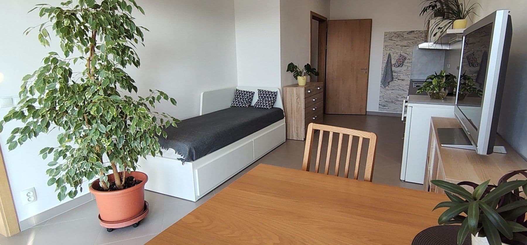 1 bedroom with open-plan kitchen flat to rent, 46 m², Hlučkova, Prague, Prague 1 bedroom with open-plan kitchen flat to rent, 46 m², Hlučkova, Prague, Prague