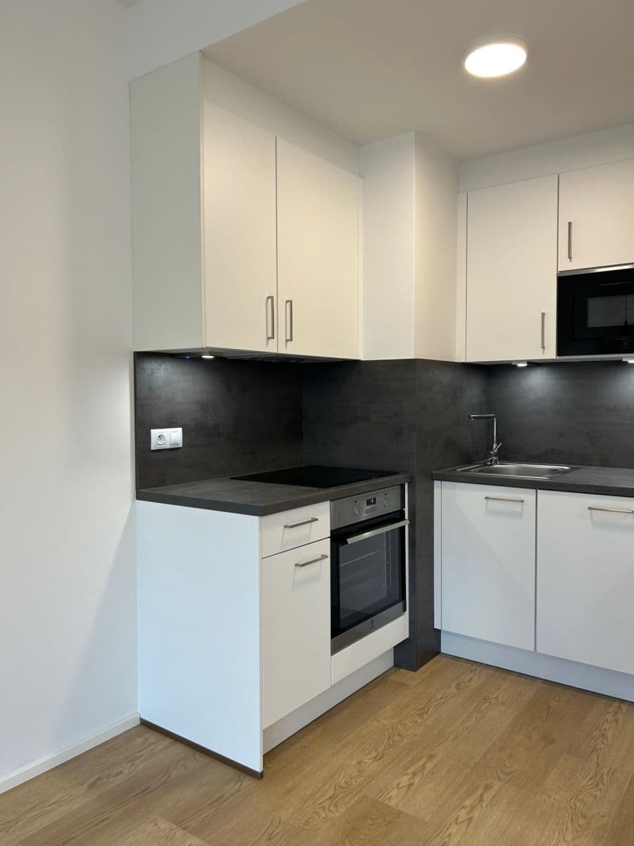 1 bedroom with open-plan kitchen flat to rent, 59 m², Michelská, Prague, Prague 1 bedroom with open-plan kitchen flat to rent, 59 m², Michelská, Prague, Prague