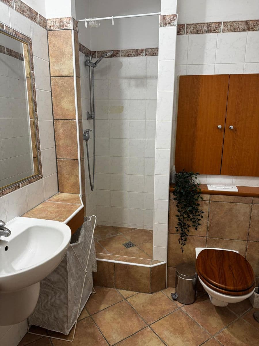 Studio flat to rent, 37 m², Högrova, Brno, Jihomoravský Region Studio flat to rent, 37 m², Högrova, Brno, Jihomoravský Region