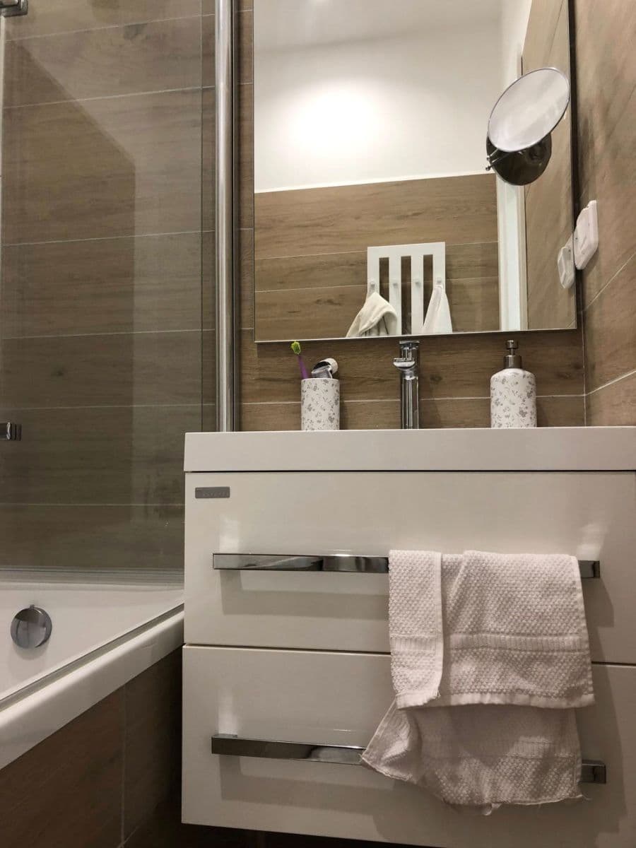 1 bedroom with open-plan kitchen flat to rent, 45 m², Zikova, Prague, Prague 1 bedroom with open-plan kitchen flat to rent, 45 m², Zikova, Prague, Prague