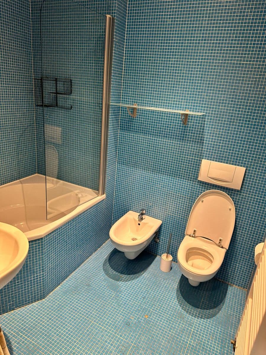 2 bedroom with open-plan kitchen flat to rent, 72 m², Na Výtoni, Prague, Prague 2 bedroom with open-plan kitchen flat to rent, 72 m², Na Výtoni, Prague, Prague