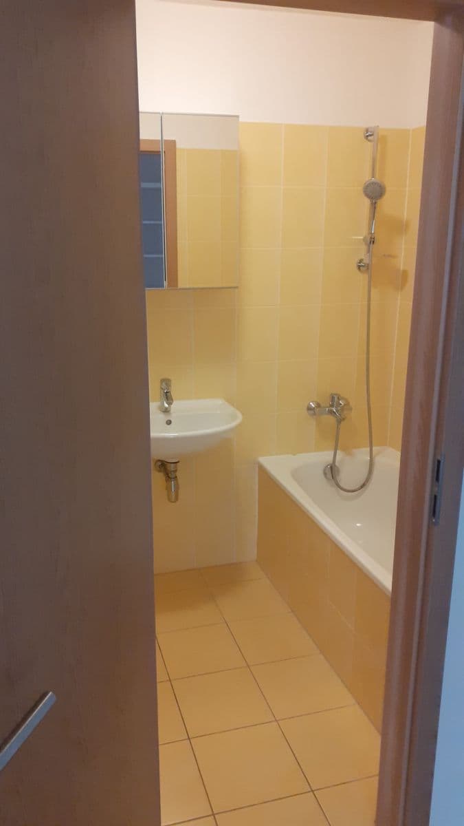 1 bedroom with open-plan kitchen flat to rent, 43 m², V Honech, Klecany, Středočeský Region 1 bedroom with open-plan kitchen flat to rent, 43 m², V Honech, Klecany, Středočeský Region