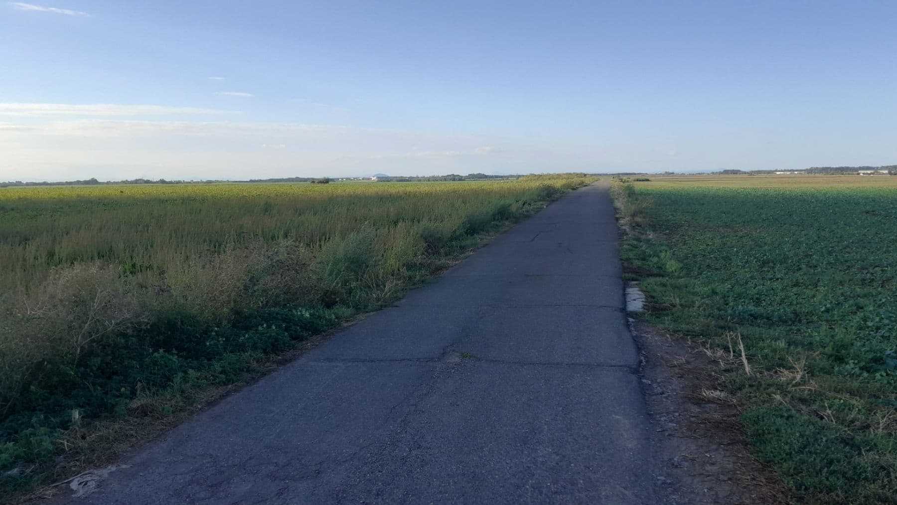 1 bedroom with open-plan kitchen flat to rent, 43 m², V Honech, Klecany, Středočeský Region 1 bedroom with open-plan kitchen flat to rent, 43 m², V Honech, Klecany, Středočeský Region