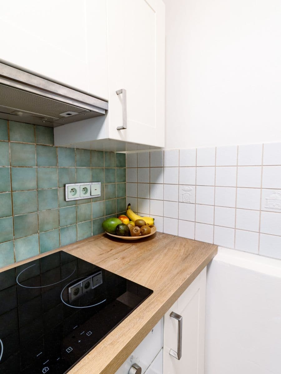 1 bedroom with open-plan kitchen flat to rent, 45 m², Vlastina, Prague, Prague 1 bedroom with open-plan kitchen flat to rent, 45 m², Vlastina, Prague, Prague