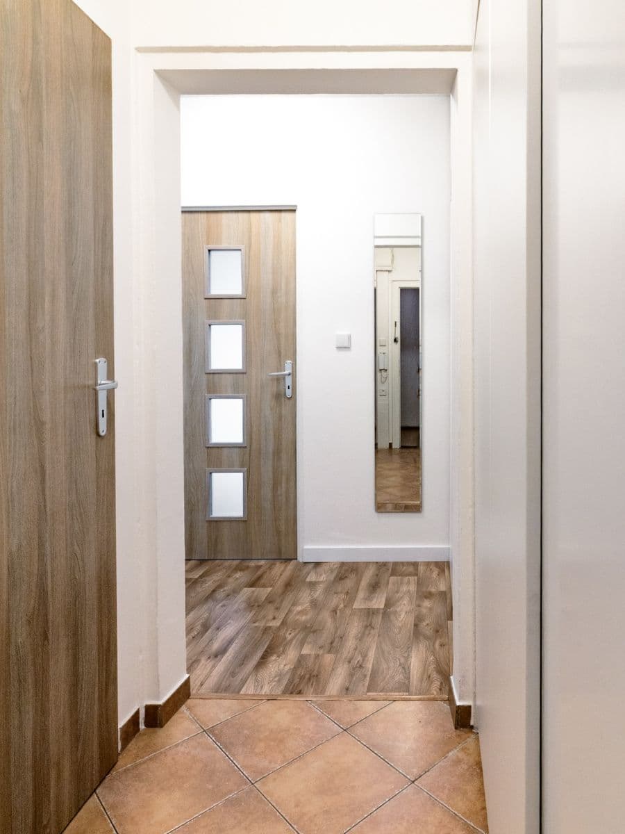 1 bedroom with open-plan kitchen flat to rent, 45 m², Vlastina, Prague, Prague 1 bedroom with open-plan kitchen flat to rent, 45 m², Vlastina, Prague, Prague