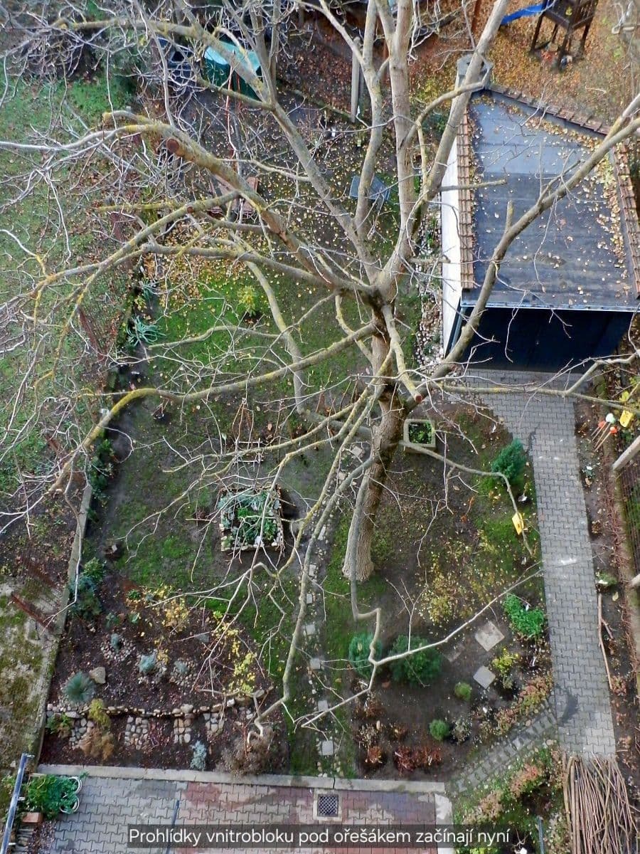 1 bedroom with open-plan kitchen flat to rent, 46 m², Renneská třída, Brno, Jihomoravský Region 1 bedroom with open-plan kitchen flat to rent, 46 m², Renneská třída, Brno, Jihomoravský Region