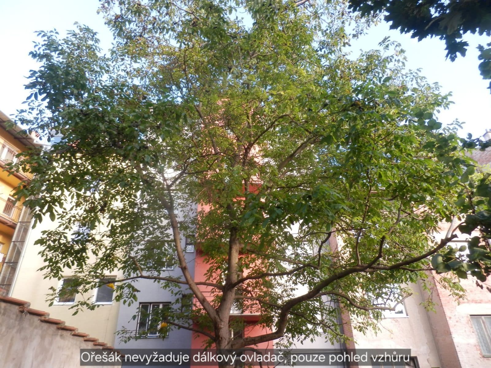 1 bedroom with open-plan kitchen flat to rent, 46 m², Renneská třída, Brno, Jihomoravský Region 1 bedroom with open-plan kitchen flat to rent, 46 m², Renneská třída, Brno, Jihomoravský Region