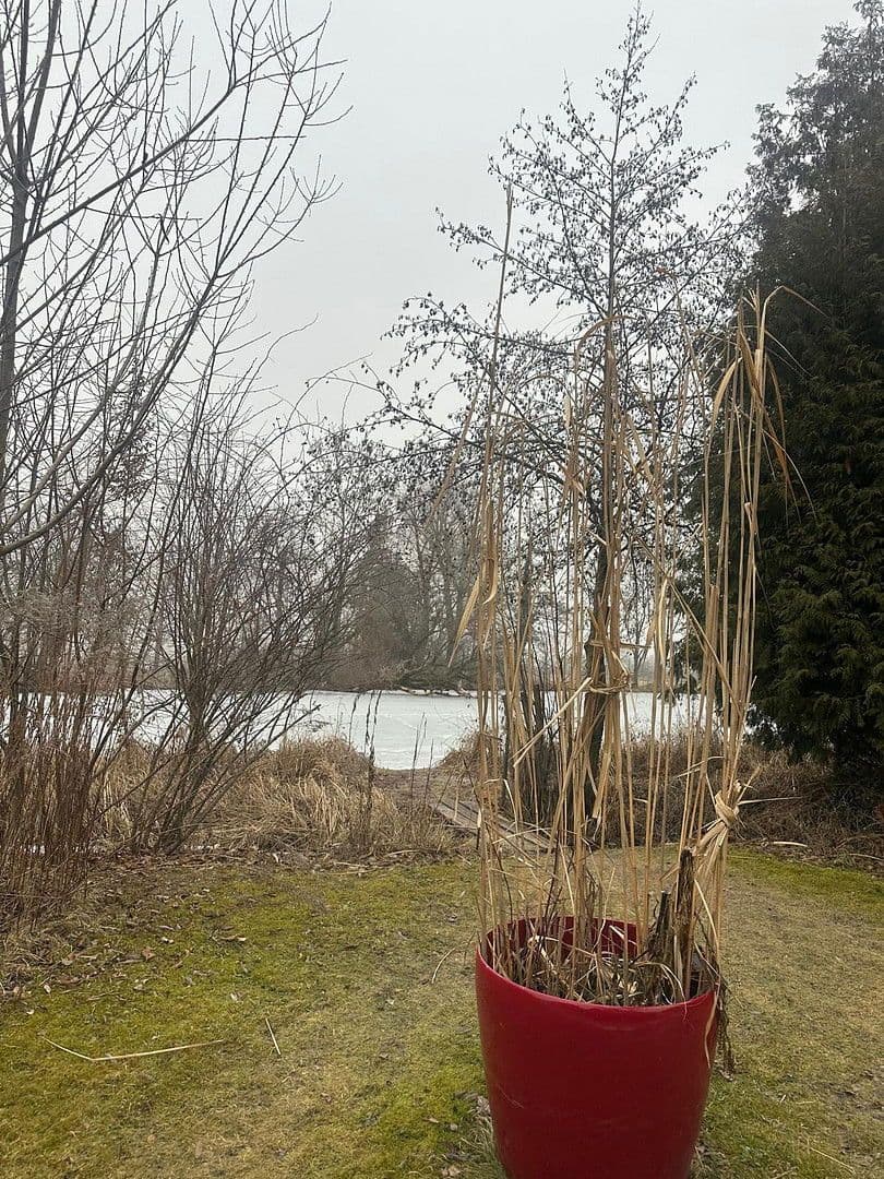 house to rent, 150 m², Oberschleißheim, Bavaria house to rent, 150 m², Oberschleißheim, Bavaria