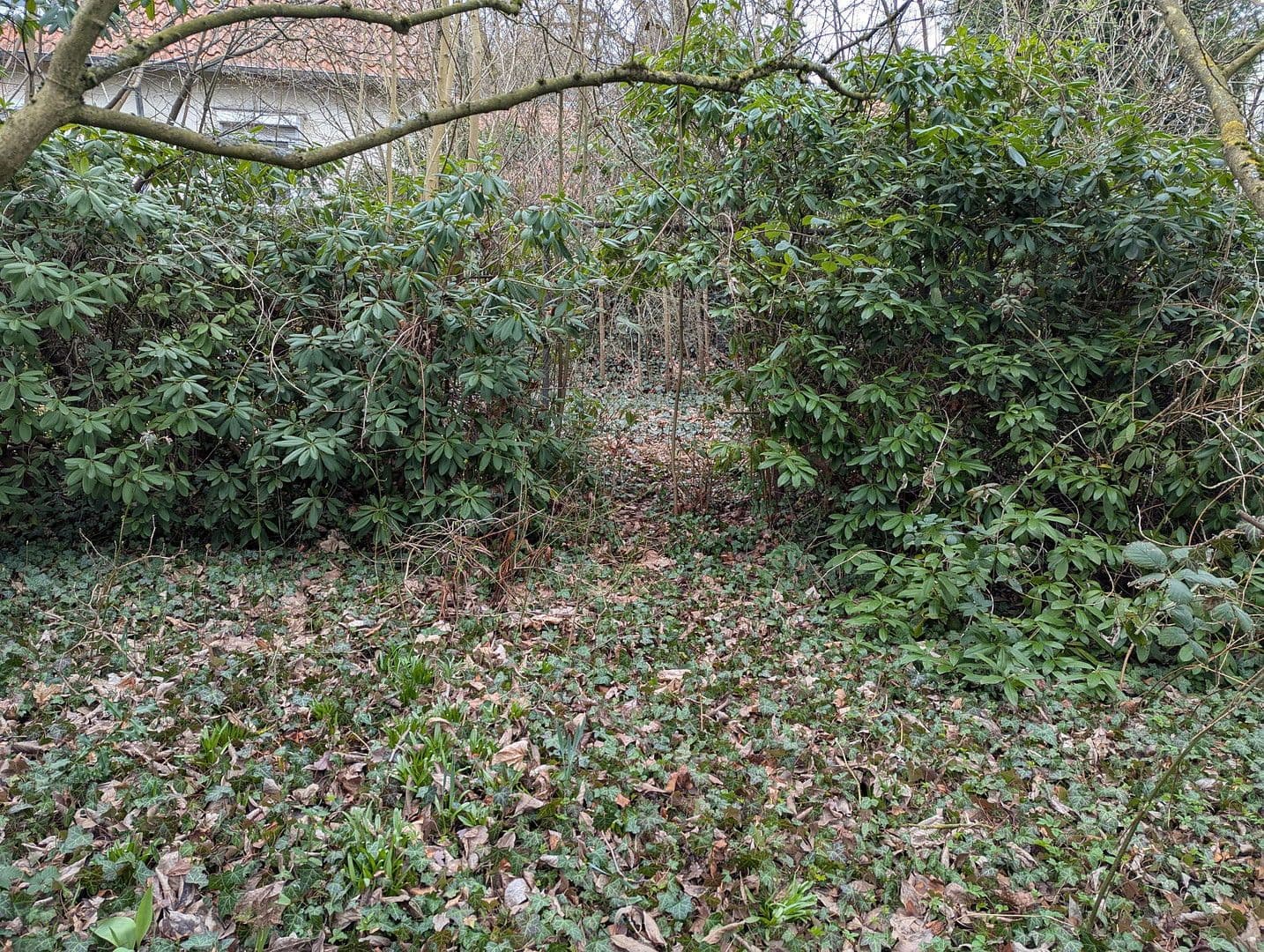 house for sale, 123 m², Herrmann-Löns-Weg 37, Salzgitter, Lower Saxony house for sale, 123 m², Herrmann-Löns-Weg 37, Salzgitter, Lower Saxony