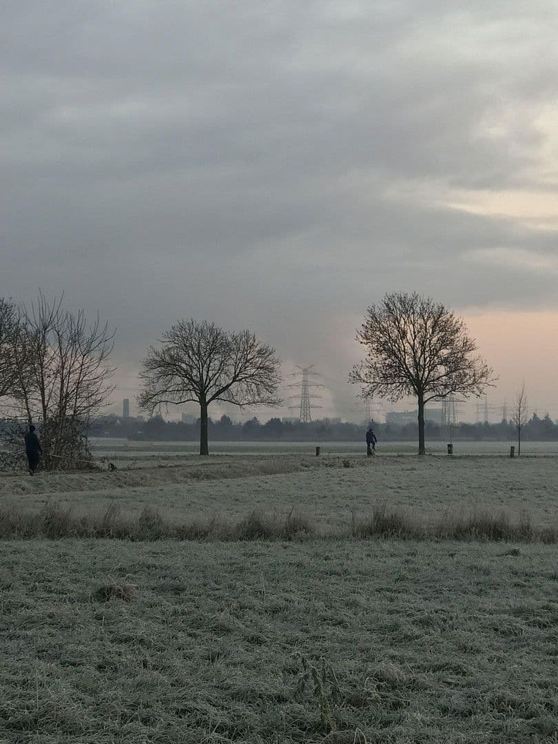 3 bedroom flat to rent, 15 m², Hattersheim am Main, Hesse 3 bedroom flat to rent, 15 m², Hattersheim am Main, Hesse