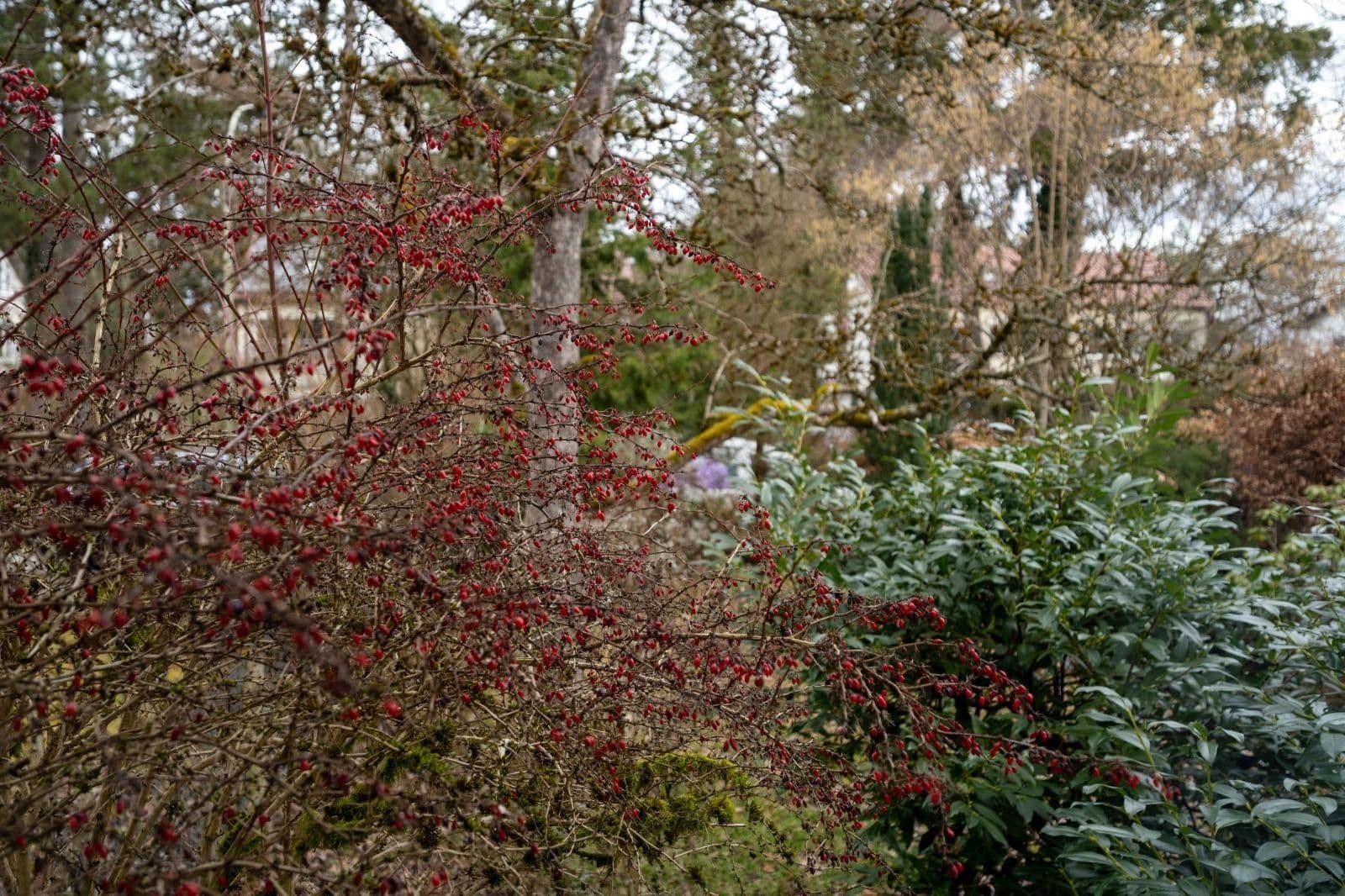 house for sale, 110 m², Anton-Bruckner-Str. 44, Vaterstetten, Bavaria house for sale, 110 m², Anton-Bruckner-Str. 44, Vaterstetten, Bavaria