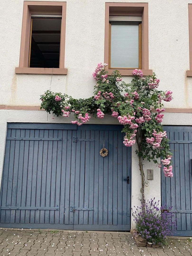 house to rent, 167 m², Otzberg, Hesse house to rent, 167 m², Otzberg, Hesse