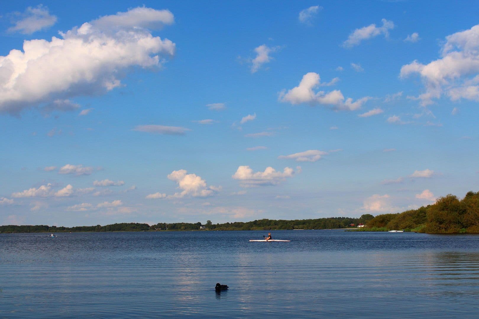 house for sale, 167 m², Neumünster, Schleswig-Holstein house for sale, 167 m², Neumünster, Schleswig-Holstein