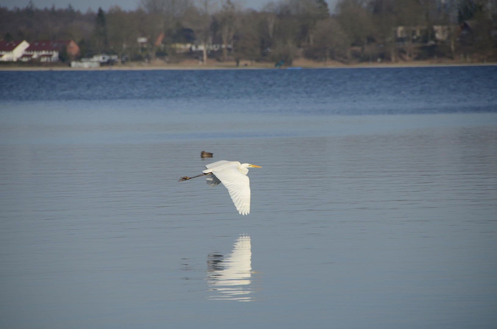 house for sale, 167 m², Neumünster, Schleswig-Holstein house for sale, 167 m², Neumünster, Schleswig-Holstein