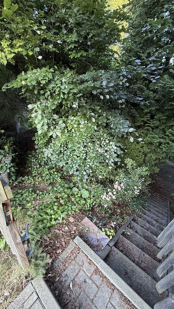 house for sale, 130 m², Aue-Bad Schlema, Saxony house for sale, 130 m², Aue-Bad Schlema, Saxony