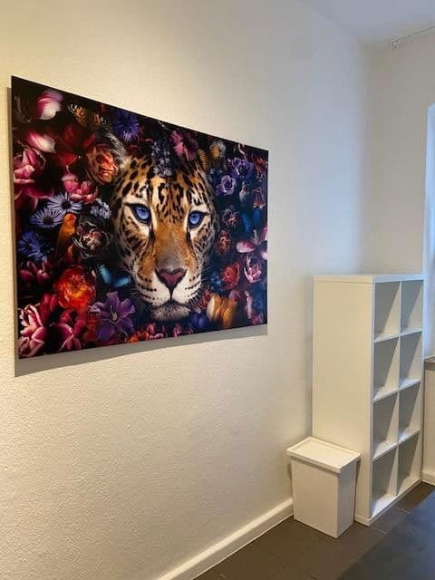 flat to rent, 16 m², Hasselsstraße 33, Düsseldorf, North Rhine-Westphalia flat to rent, 16 m², Hasselsstraße 33, Düsseldorf, North Rhine-Westphalia