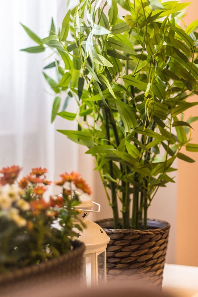 1 bedroom with open-plan kitchen flat to rent, 30 m², Plynární, Prague, Prague 1 bedroom with open-plan kitchen flat to rent, 30 m², Plynární, Prague, Prague