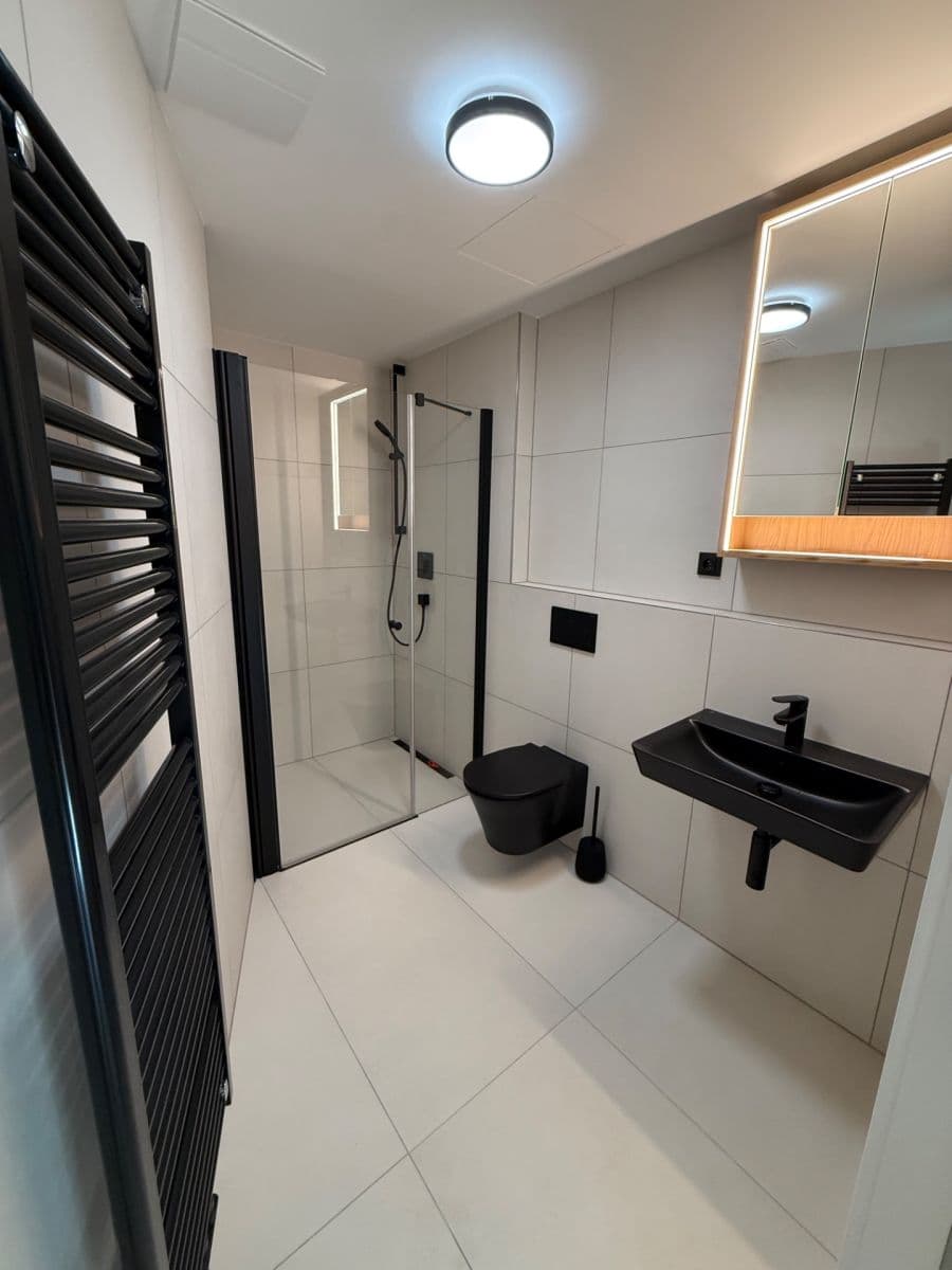 1 bedroom with open-plan kitchen flat to rent, 33 m², Krymská, Prague, Prague 1 bedroom with open-plan kitchen flat to rent, 33 m², Krymská, Prague, Prague