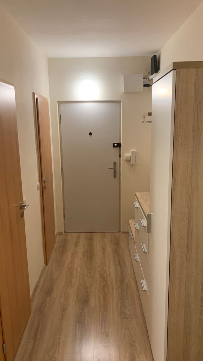 1 bedroom with open-plan kitchen flat to rent, 48 m², Svážná, Brno, Jihomoravský Region 1 bedroom with open-plan kitchen flat to rent, 48 m², Svážná, Brno, Jihomoravský Region