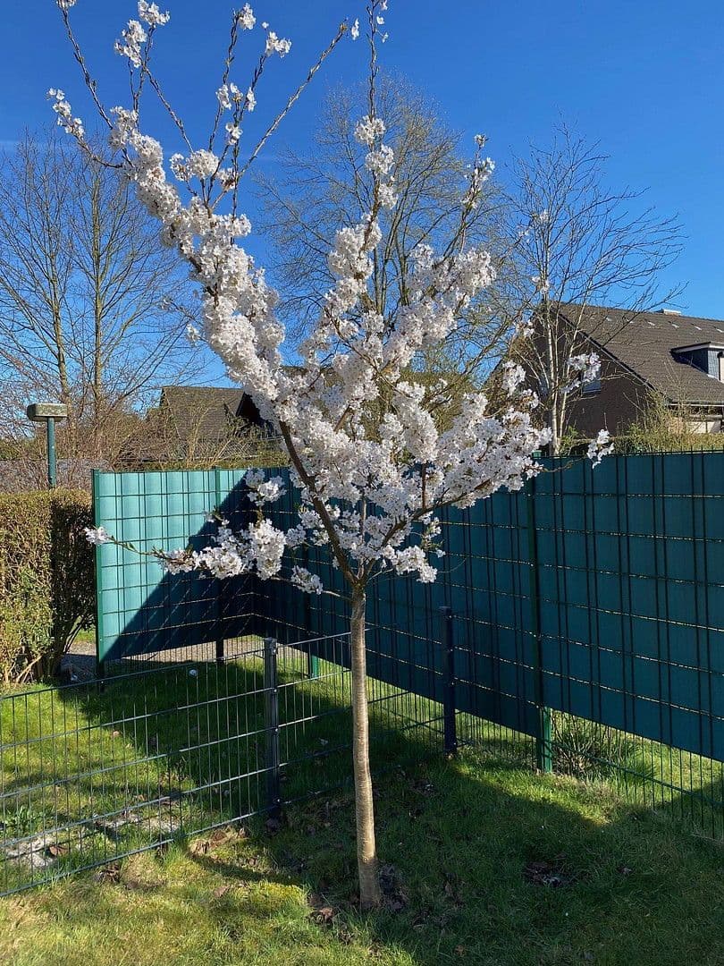 house for sale, 146 m², Emmi-Ruben-Weg 19F, Hamburg, Hamburg house for sale, 146 m², Emmi-Ruben-Weg 19F, Hamburg, Hamburg