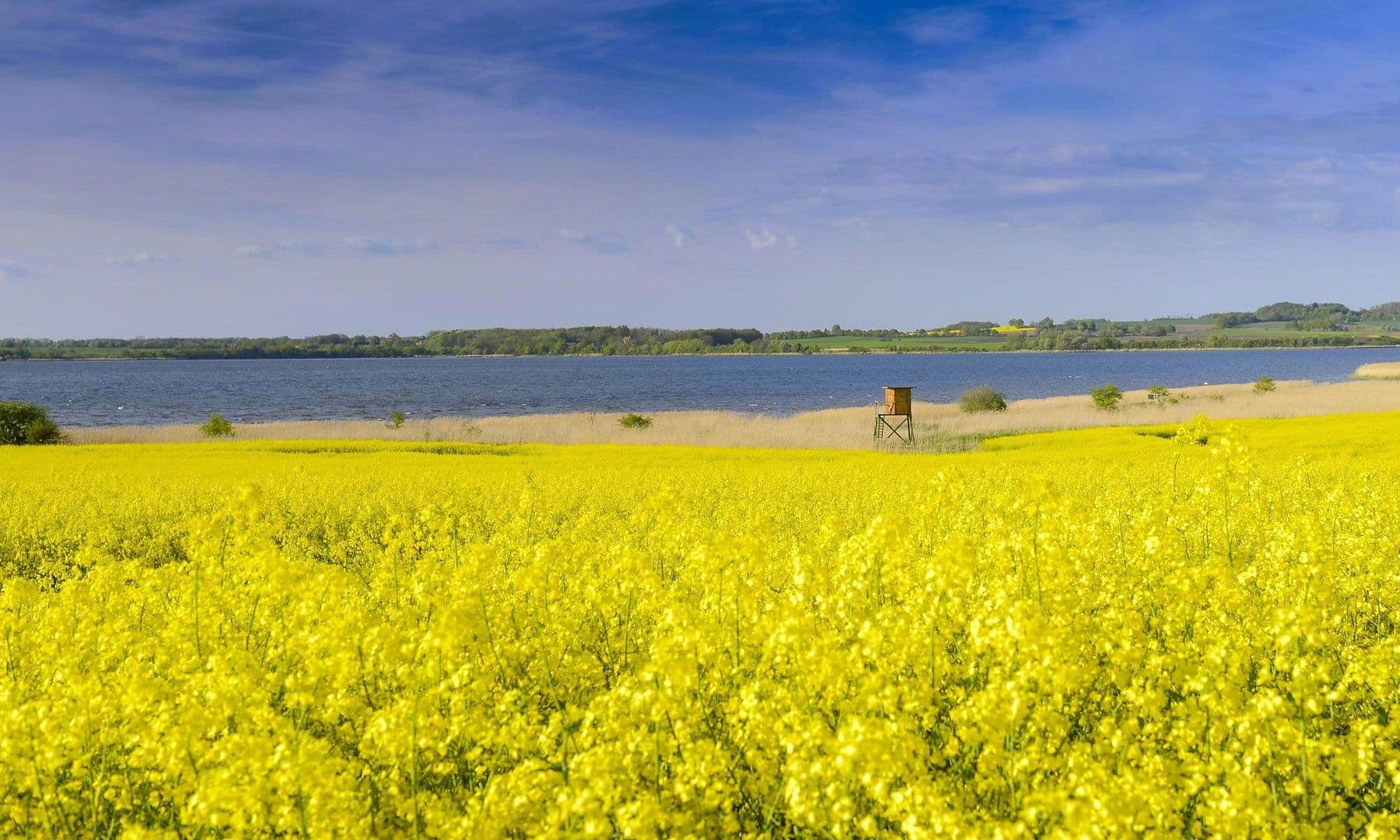 house for sale, 360 m², Dassow, Mecklenburg-Vorpommern house for sale, 360 m², Dassow, Mecklenburg-Vorpommern