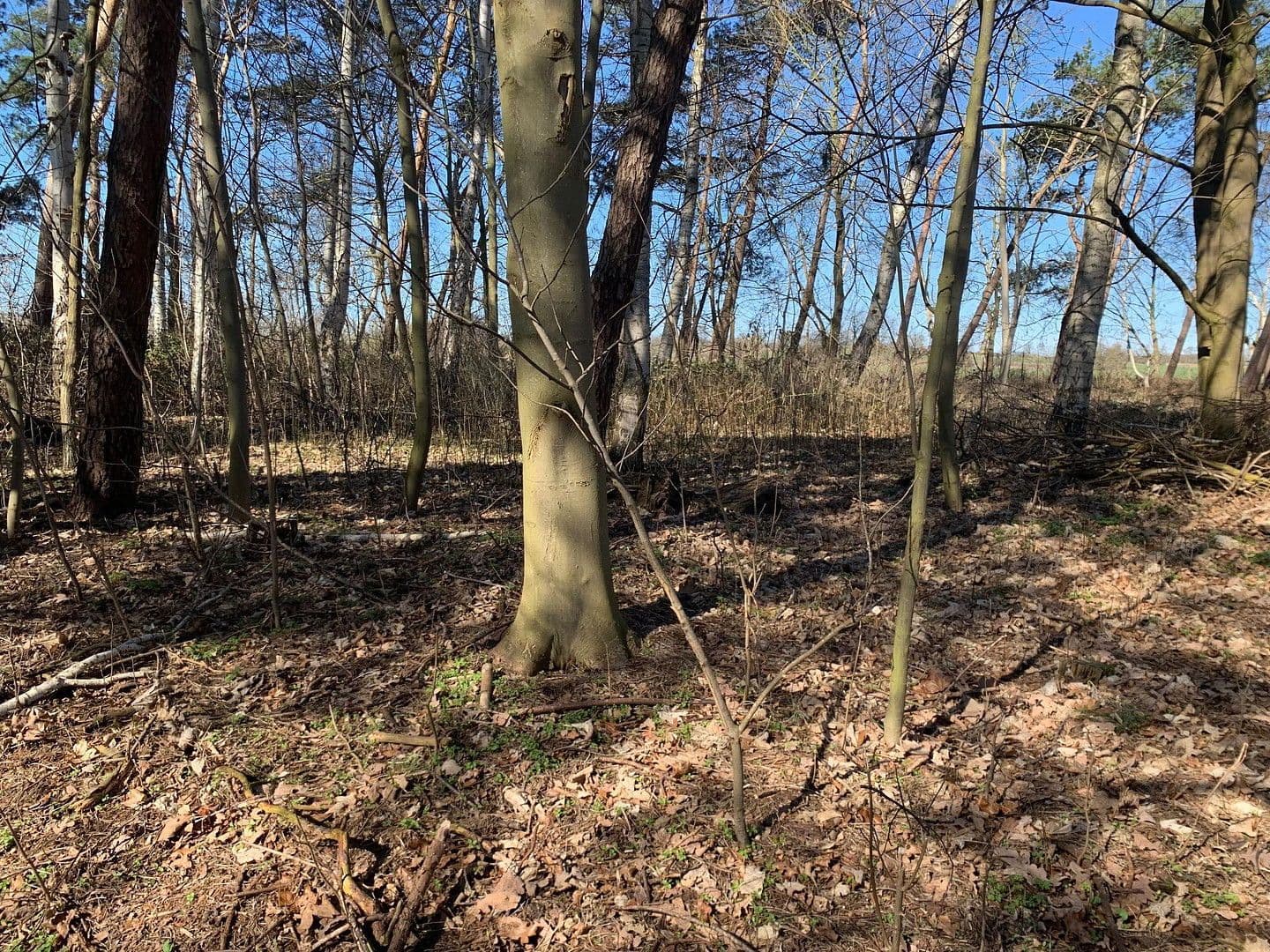 house for sale, 360 m², Dassow, Mecklenburg-Vorpommern house for sale, 360 m², Dassow, Mecklenburg-Vorpommern