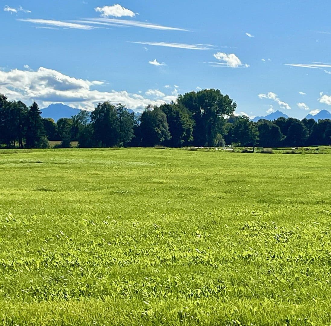 plot for sale, 422 m², Bachfeldstraße, Peiting, Bavaria plot for sale, 422 m², Bachfeldstraße, Peiting, Bavaria