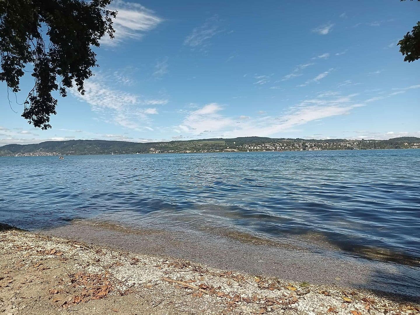 Studio flat to rent, 38 m², Zum Hofgut 1, Konstanz, Baden-Württemberg Studio flat to rent, 38 m², Zum Hofgut 1, Konstanz, Baden-Württemberg