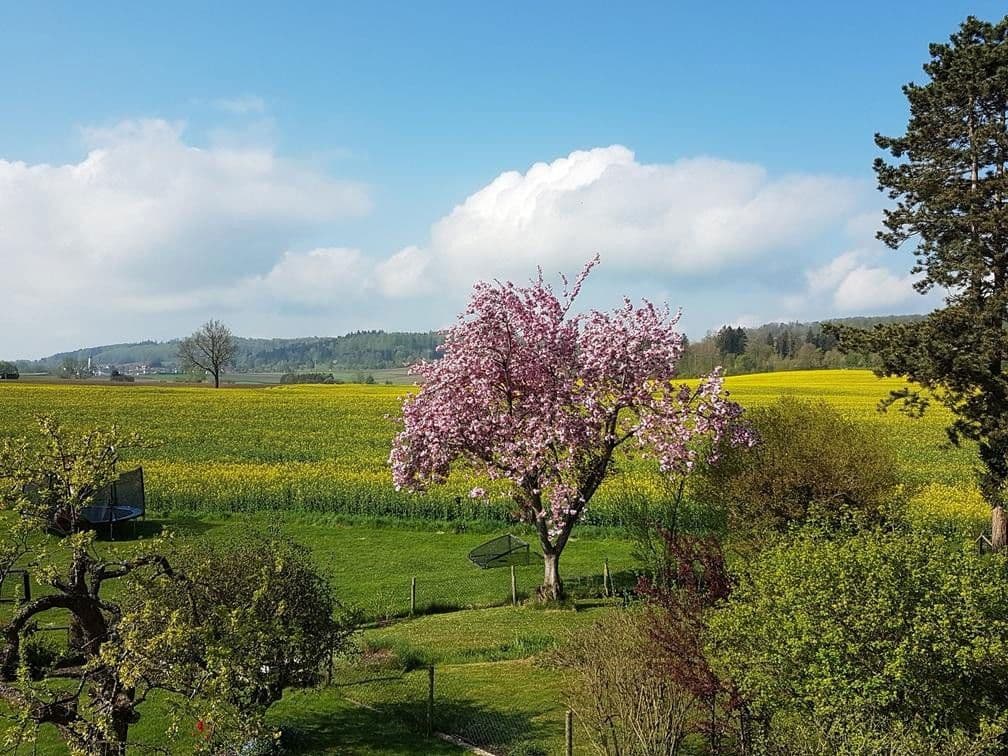 house for sale, 200 m², Bad Schussenried, Baden-Württemberg house for sale, 200 m², Bad Schussenried, Baden-Württemberg