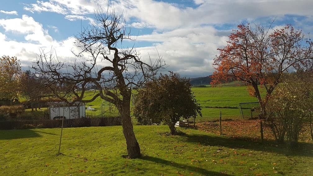 house for sale, 200 m², Bad Schussenried, Baden-Württemberg house for sale, 200 m², Bad Schussenried, Baden-Württemberg