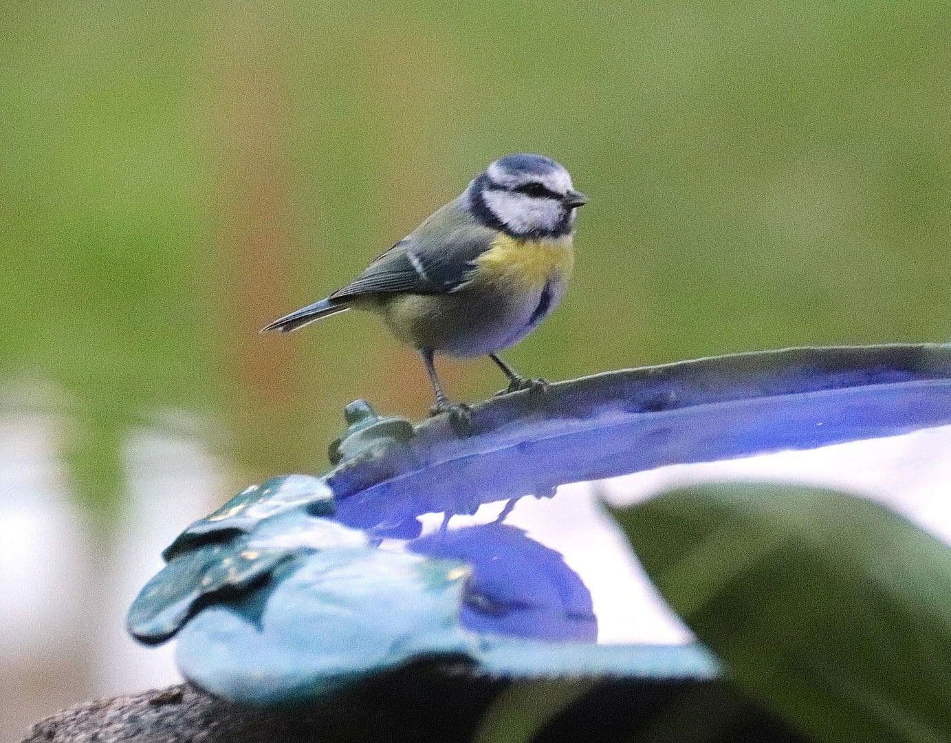 house for sale, 358 m², Gerinneweg 13, Ludwigsstadt, Bavaria house for sale, 358 m², Gerinneweg 13, Ludwigsstadt, Bavaria