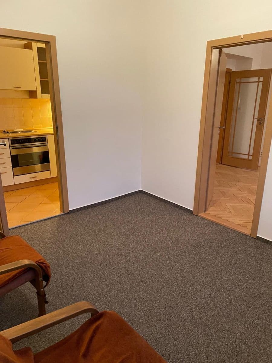 1 bedroom with open-plan kitchen flat to rent, 50 m², Lucemburská, Prague, Prague 1 bedroom with open-plan kitchen flat to rent, 50 m², Lucemburská, Prague, Prague