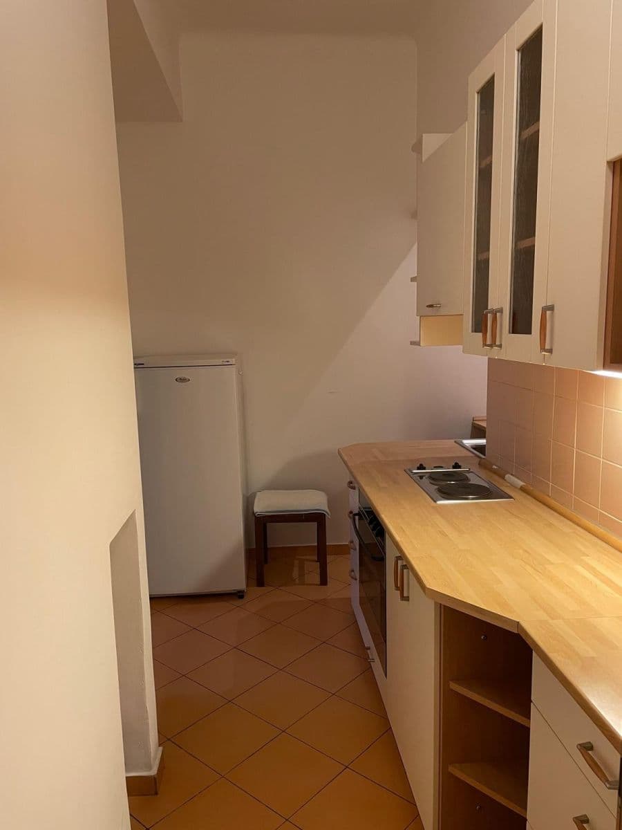 1 bedroom with open-plan kitchen flat to rent, 50 m², Lucemburská, Prague, Prague 1 bedroom with open-plan kitchen flat to rent, 50 m², Lucemburská, Prague, Prague