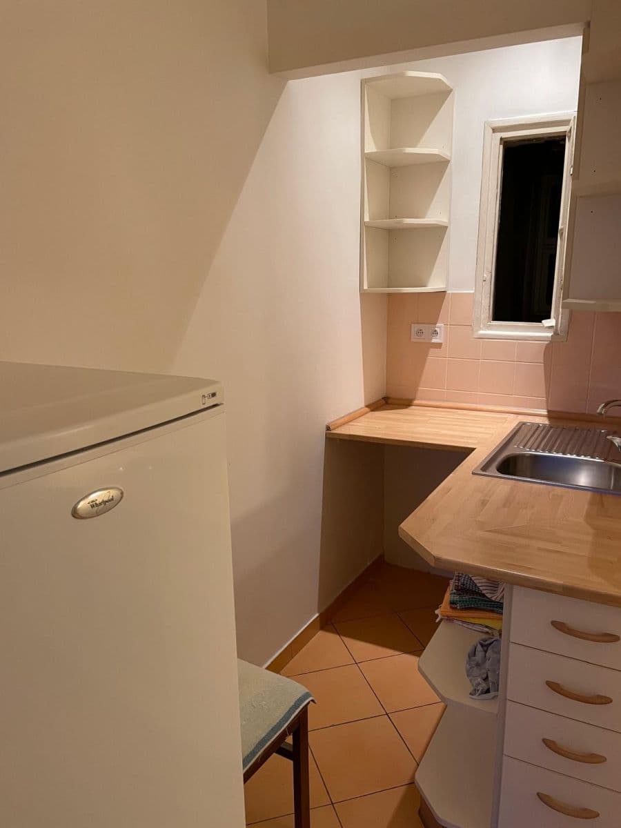 1 bedroom with open-plan kitchen flat to rent, 50 m², Lucemburská, Prague, Prague 1 bedroom with open-plan kitchen flat to rent, 50 m², Lucemburská, Prague, Prague
