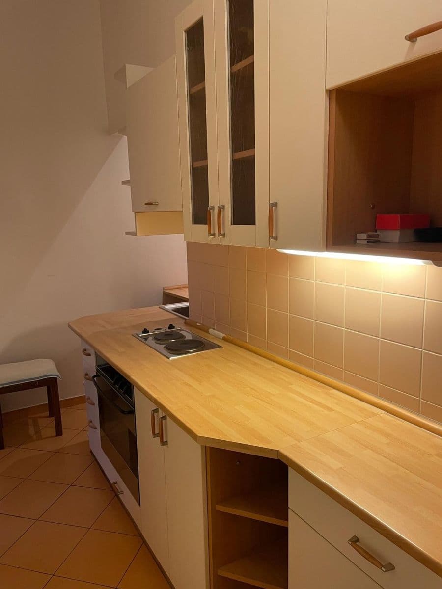 1 bedroom with open-plan kitchen flat to rent, 50 m², Lucemburská, Prague, Prague 1 bedroom with open-plan kitchen flat to rent, 50 m², Lucemburská, Prague, Prague
