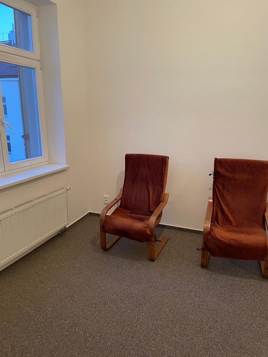 1 bedroom with open-plan kitchen flat to rent, 50 m², Lucemburská, Prague, Prague 1 bedroom with open-plan kitchen flat to rent, 50 m², Lucemburská, Prague, Prague