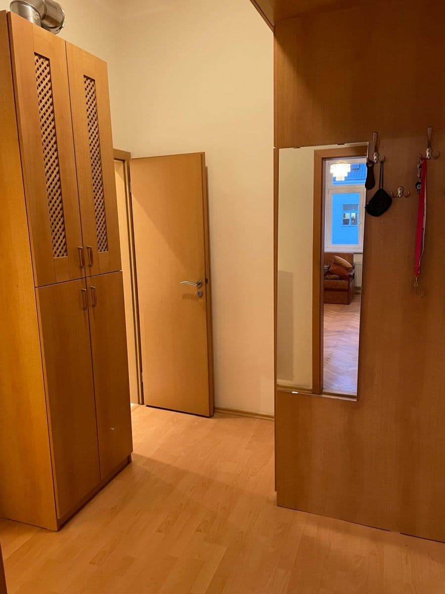1 bedroom with open-plan kitchen flat to rent, 50 m², Lucemburská, Prague, Prague 1 bedroom with open-plan kitchen flat to rent, 50 m², Lucemburská, Prague, Prague