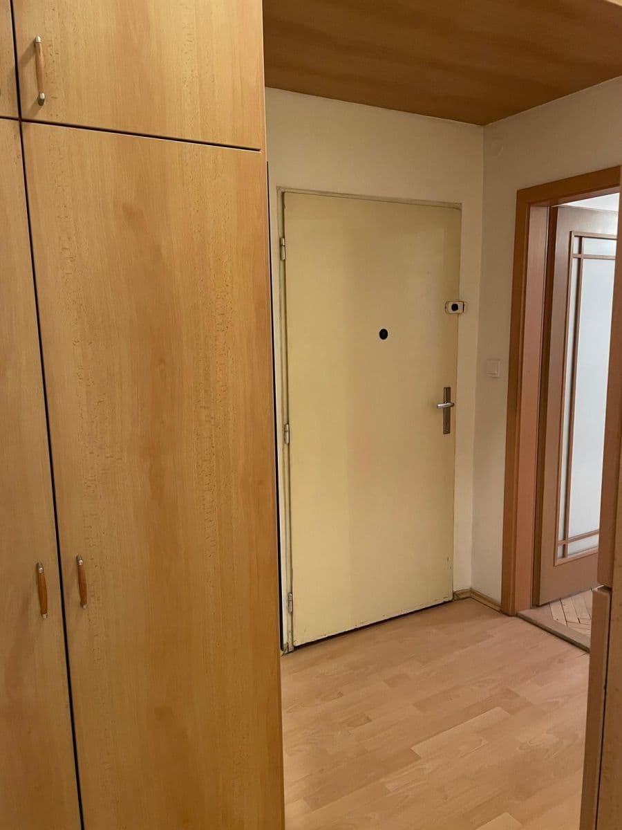 1 bedroom with open-plan kitchen flat to rent, 50 m², Lucemburská, Prague, Prague 1 bedroom with open-plan kitchen flat to rent, 50 m², Lucemburská, Prague, Prague